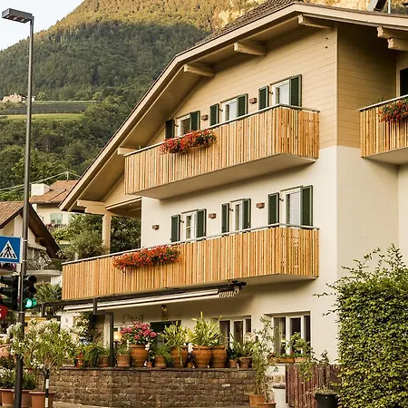 B&B Pizzeria Zur Traube-3